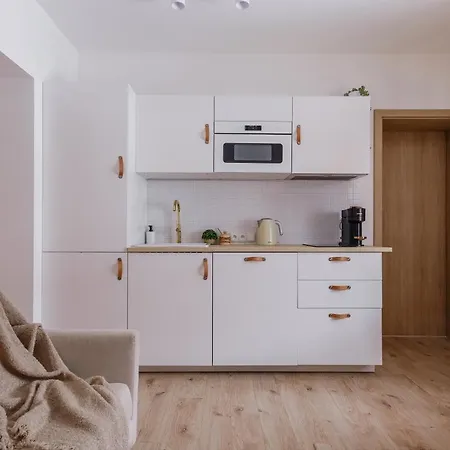 Apartment W Gorach Apart&spa Zakopane